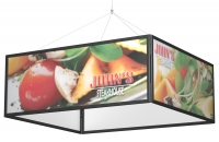 Perfex SkyFrames&trade;